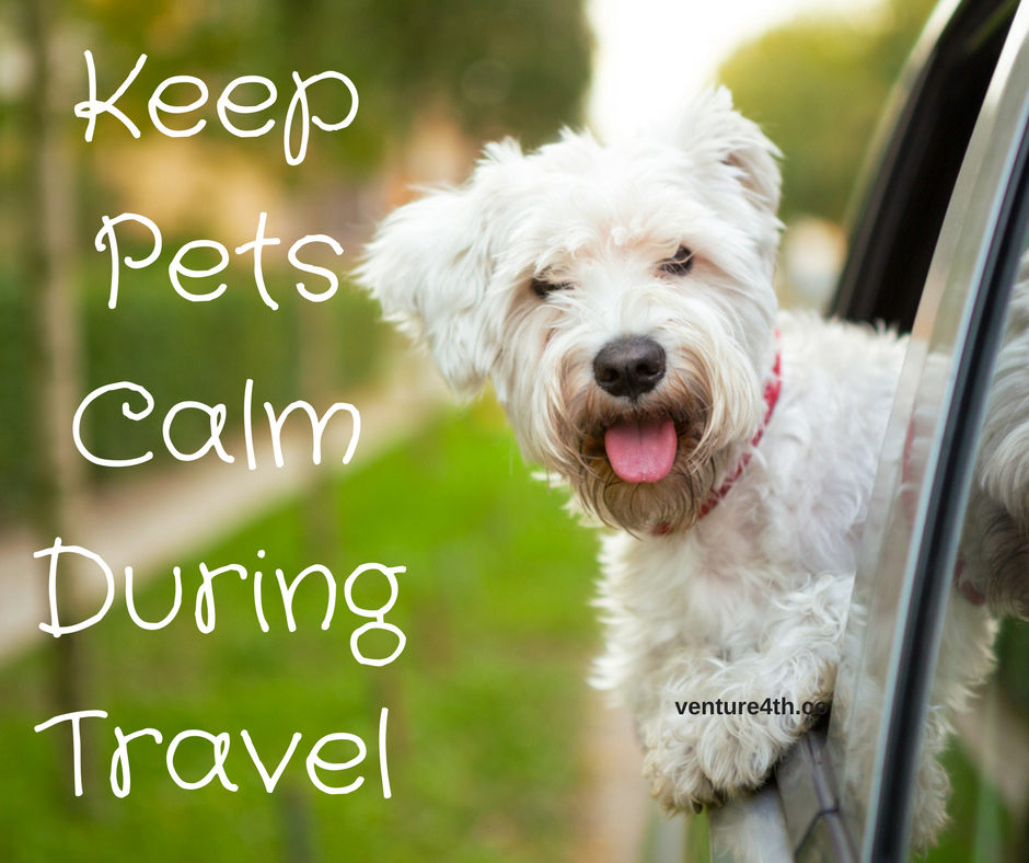 Keep Pets Calm During Travel