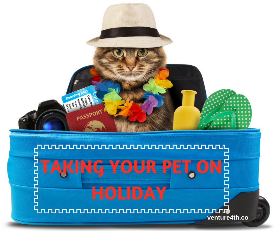 Taking Your Pet On Holiday