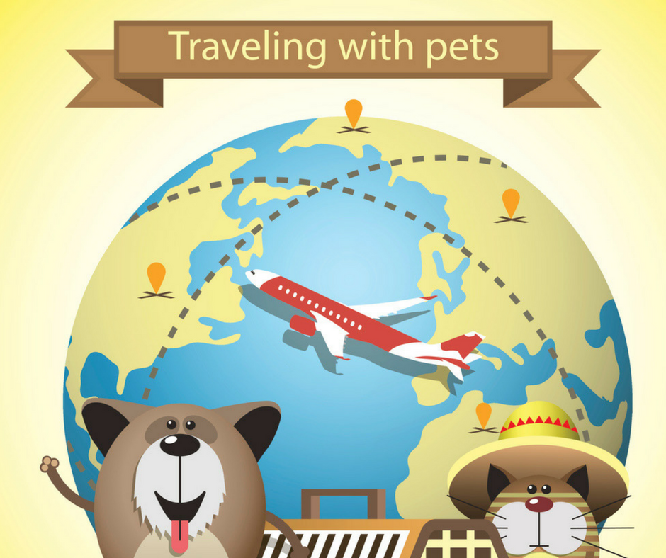 How to Prepare your Pet for a Flight